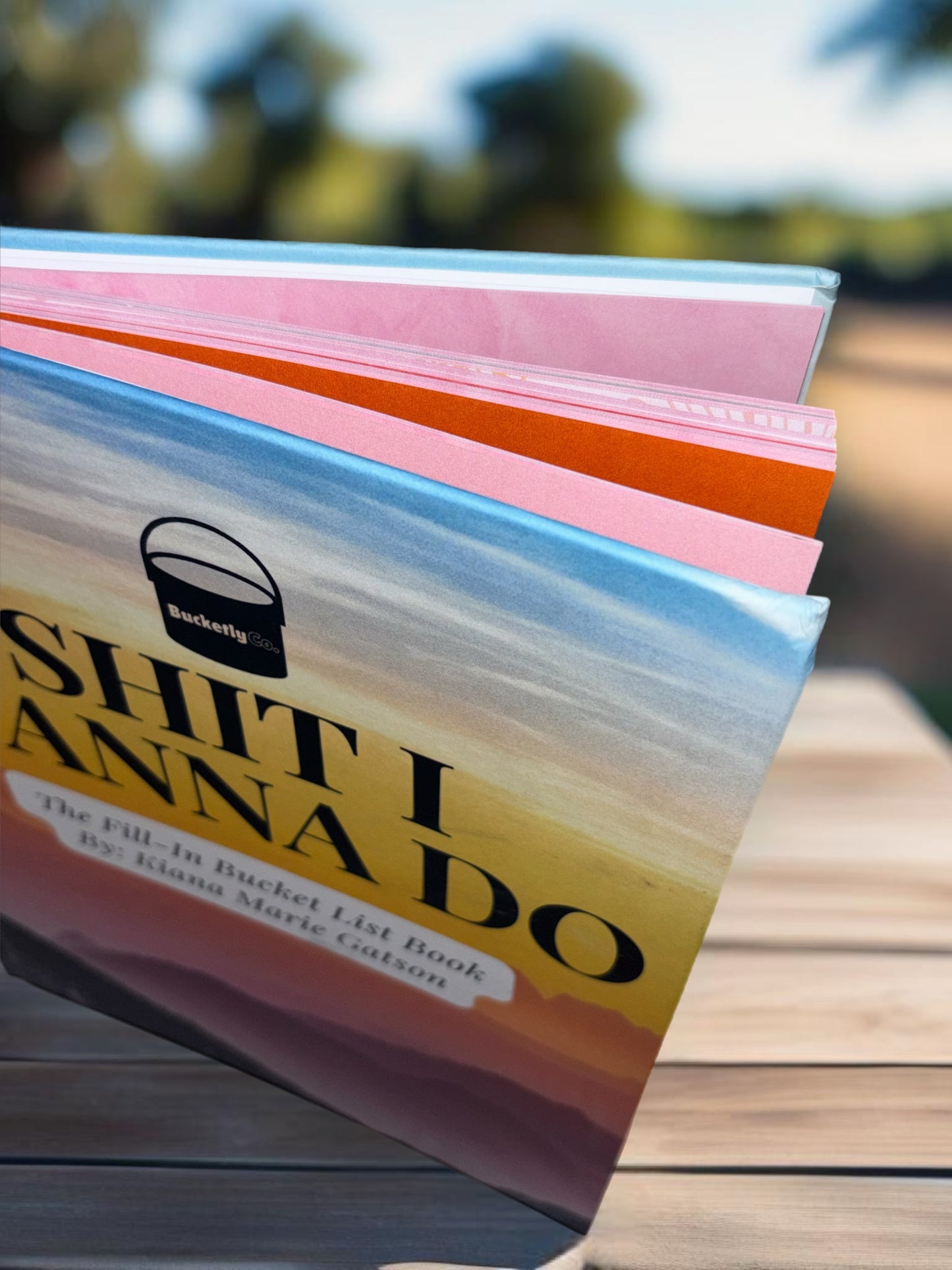 Fill-In Bucket List Book (Pink Theme)